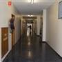 School of Chemistry - The University of Sydney