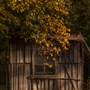 Private House - Batlow