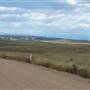 Monaro Plains