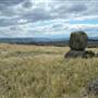 Monaro Plains