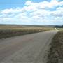 Monaro Plains