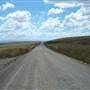 Monaro Plains