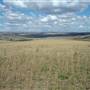 Monaro Plains