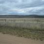 Monaro Plains