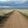 Monaro Plains