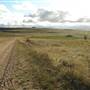 Monaro Plains