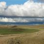 Monaro Plains