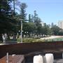 Manly Wharf