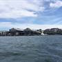 Walsh Bay - Sydney Harbour from the water