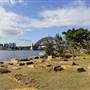 Barangaroo Reserve