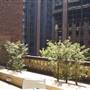 Property Council of Australia