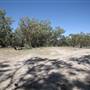 Bindara Station on the Darling - Period Homestead & Outbuildings