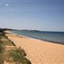 Collaroy Beach