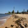 Collaroy Beach
