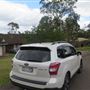 Helensburgh neighbourhood - cul-de-sac 2