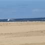 Corrimal - East Corrimal Beach