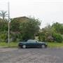 Bilgola Plateau neighbourhood