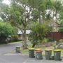 Bilgola Plateau neighbourhood