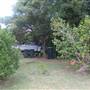 Manly Vale Neighbourhood