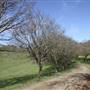 Private House - Crookwell