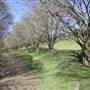 Private House - Crookwell