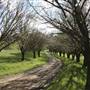 Private House - Crookwell