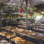 Bodhi Restaurant + Bar
