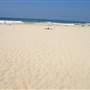 South Maroubra Beach