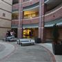 Macquarie University
