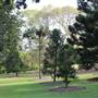 Royal Botanic Garden Sydney