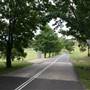 St Ignatius College, Riverview - Grounds/Sportsfields