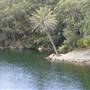 Wattamolla Beach
