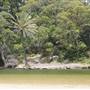 Wattamolla Beach