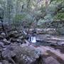 Minnamurra Rainforest Walk - Budderoo National Park