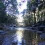 Minnamurra Rainforest Walk - Budderoo National Park
