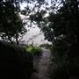 Little Collins Beach Sydney Harbour