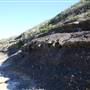 Munmorah State Conservation Area - Snapper Pt and Bongon Beach