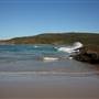 Munmorah State Conservation Area - Snapper Pt and Bongon Beach