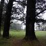 Jenolan State Forest