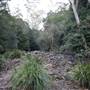 Red Cedar Flat picnic area