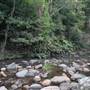 Red Cedar Flat picnic area