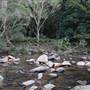Red Cedar Flat picnic area