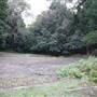 Red Cedar Flat picnic area