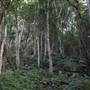 Mount Keira Scout Camp File 1