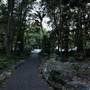 Mount Keira Scout Camp File 1