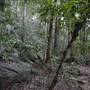 Mount Keira Scout Camp File 1