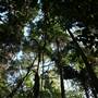 Mount Keira Scout Camp File 1
