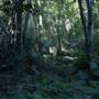 Mount Keira Scout Camp File 1