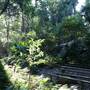 Mount Keira Scout Camp File 1