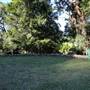 Mount Keira Scout Camp File 1